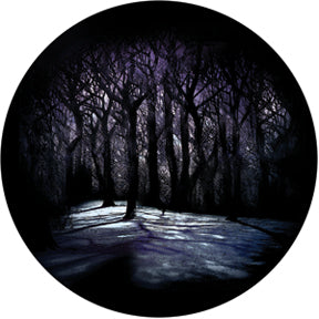86700 Grimm's Woods - Rosco Colour Glass Gobo