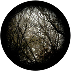 86702 Autumn Branches - Rosco Colour Glass Gobo