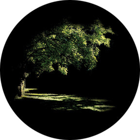 86704 Summer Glade - Rosco Colour Glass Gobo