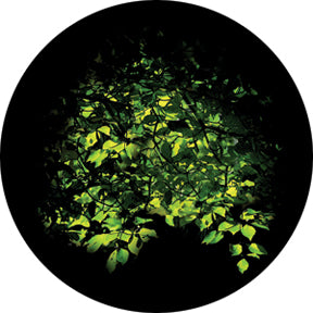 86705 Spring Bower - Rosco Colour Glass Gobo