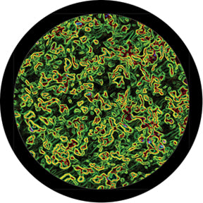 86735 Microscopic - Rosco Colour Glass Gobo