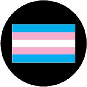 86782 Trans Pride Flag - Rosco Colour Glass Gobo