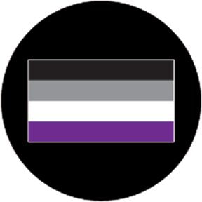 86787 Asexual Pride Flag - Rosco Colour Glass Gobo