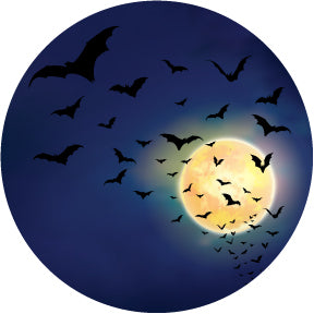 86798 Moonlight Bats - Rosco Colour Glass Gobo