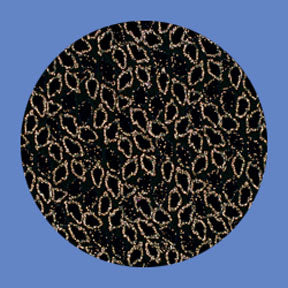 P124 Abstracts 0124 - Rosco Plastic Gobo