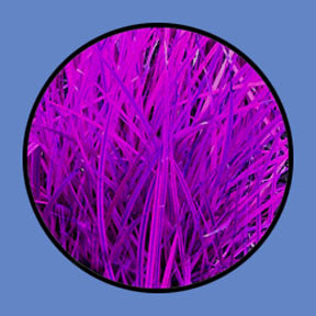 P154 Abstracts 0154 - Rosco Plastic Gobo
