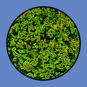 P156 Abstracts 0156 - Rosco Plastic Gobo