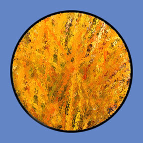 P157 Abstracts 0157 - Rosco Plastic Gobo