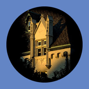 P850 Architectural 0850 - Rosco Plastic Gobo