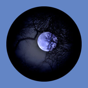 P1625 Celestial 1625 - Rosco Plastic Gobo