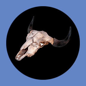 P1857 Concepts 1857 - Rosco Plastic Gobo