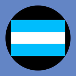 P3106 Argentina - Rosco Plastic Gobo