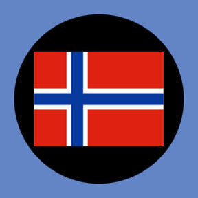 P3163 Norway - Rosco Plastic Gobo