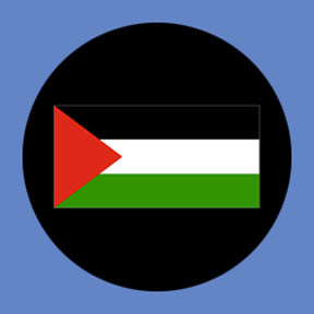 P3165 Palestine - Rosco Plastic Gobo