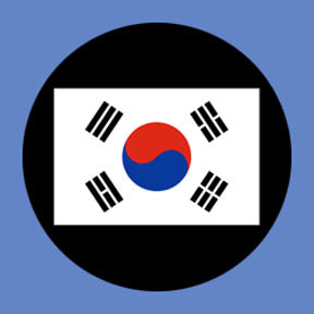P3175 South Korea - Rosco Plastic Gobo