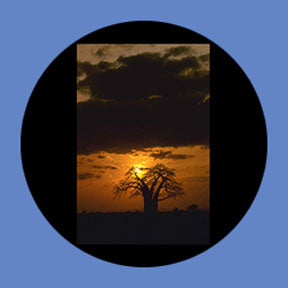 P3868 Skies & Clouds 3868 - Rosco Plastic Gobo