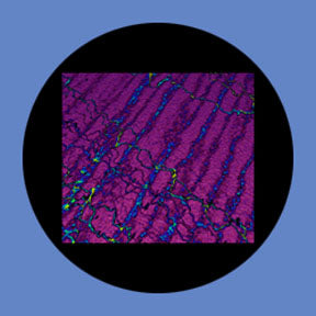 P5852 Abstracts 5852 - Rosco Plastic Gobo