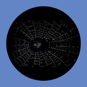 P5878 Abstracts 5878 - Rosco Plastic Gobo