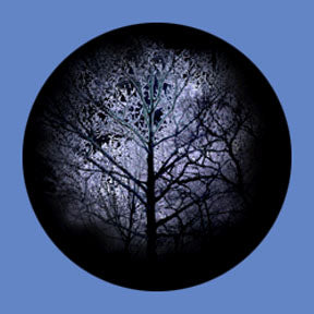 P6850 Trees & Foliage 6850 - Rosco Plastic Gobo