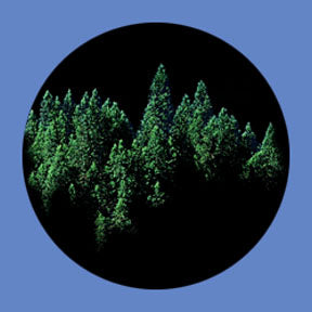 P6857 Trees & Foliage 6857 - Rosco Plastic Gobo