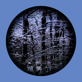 P6859 Trees & Foliage 6859 - Rosco Plastic Gobo
