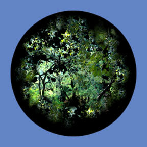 P6860 Trees & Foliage 6860 - Rosco Plastic Gobo