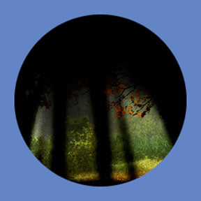 P6863 Trees & Foliage 6863 - Rosco Plastic Gobo