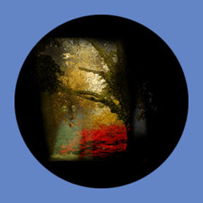 P6864 Trees & Foliage 6864 - Rosco Plastic Gobo