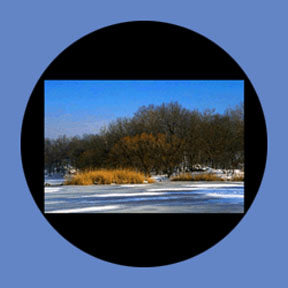 P6870 Trees & Foliage 6870 - Rosco Plastic Gobo