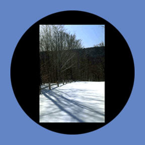 P6871 Trees & Foliage 6871 - Rosco Plastic Gobo