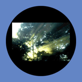 P6872 Trees & Foliage 6872 - Rosco Plastic Gobo