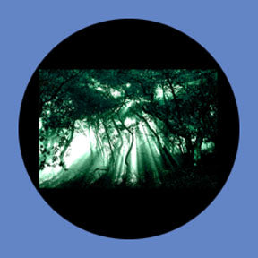 P6873 Trees & Foliage 6873 - Rosco Plastic Gobo