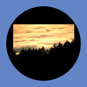 P6874 Trees & Foliage 6874 - Rosco Plastic Gobo