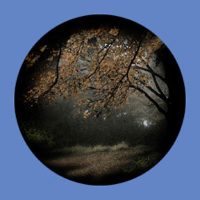 P6890 Trees & Foliage 6890 - Rosco Plastic Gobo