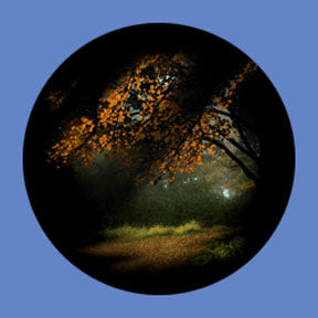 P6897 Trees & Foliage 6897 - Rosco Plastic Gobo
