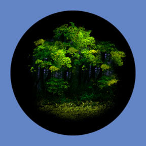 P6899 Trees & Foliage 6899 - Rosco Plastic Gobo