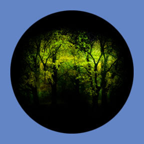 P6900 Trees & Foliage 6900 - Rosco Plastic Gobo