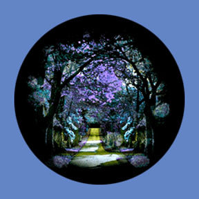 P6907 Trees & Foliage 6907 - Rosco Plastic Gobo