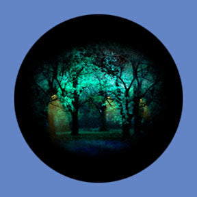 P6908 Trees & Foliage 6908 - Rosco Plastic Gobo