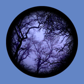 P6909 Trees & Foliage 6909 - Rosco Plastic Gobo