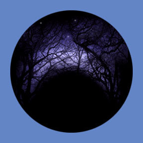 P6911 Trees & Foliage 6911 - Rosco Plastic Gobo