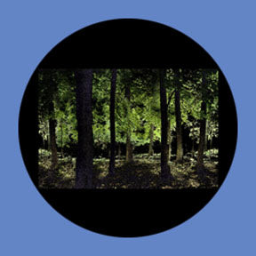 P6916 Trees & Foliage 6916 - Rosco Plastic Gobo