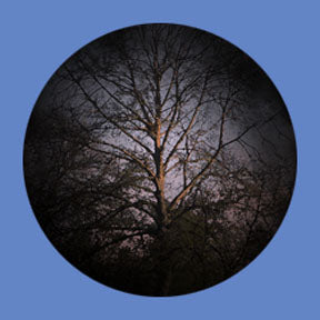 P6918 Trees & Foliage 6918 - Rosco Plastic Gobo