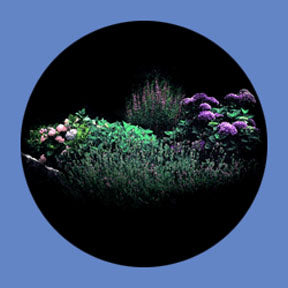 P7851 Vistas 7851 - Rosco Plastic Gobo