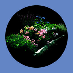 P7853 Vistas 7853 - Rosco Plastic Gobo