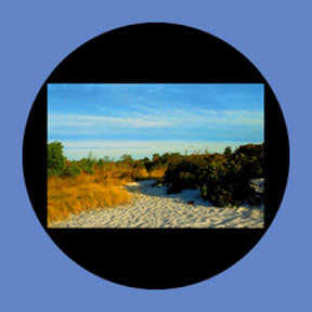 P7860 Vistas 7860 - Rosco Plastic Gobo
