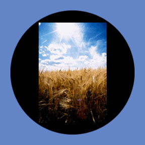 P7876 Vistas 7876 - Rosco Plastic Gobo