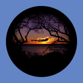 P7884 Vistas 7884 - Rosco Plastic Gobo