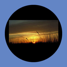 P7902 Vistas 7902 - Rosco Plastic Gobo