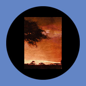 P7913 Vistas 7913 - Rosco Plastic Gobo